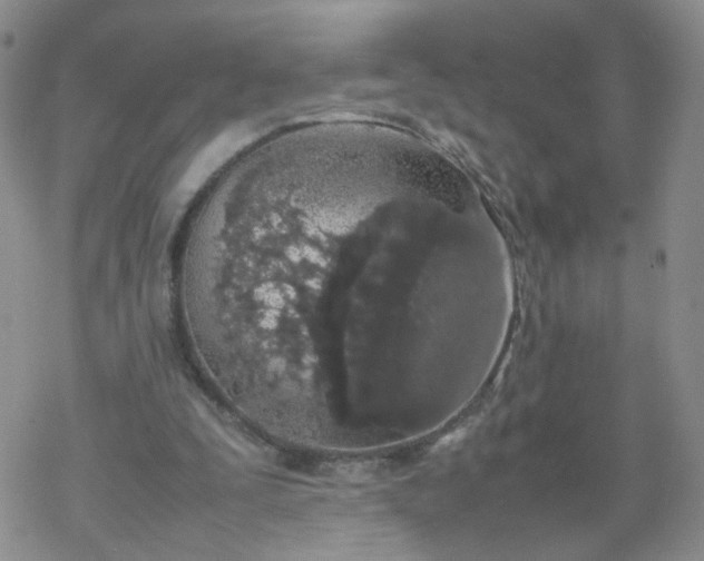 X0000069390295200605192221