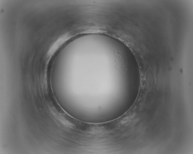 X0000069390296200605192221