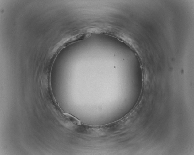 X0000069390297200605192221