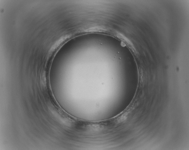 X0000069390298200605192221