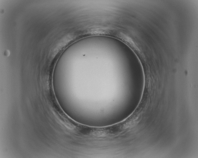 X0000069390299200605192221