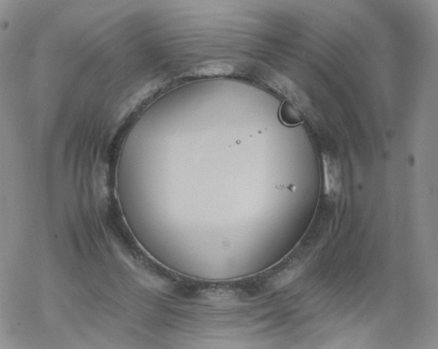 X0000069390300200605192221