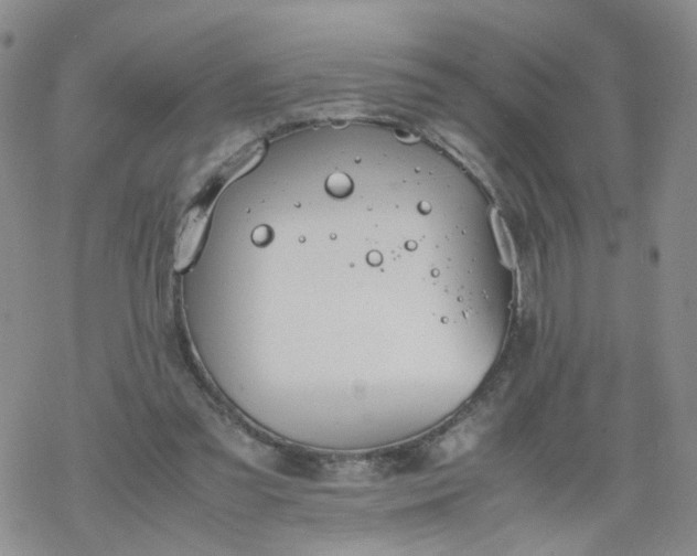 X0000069390301200605192221