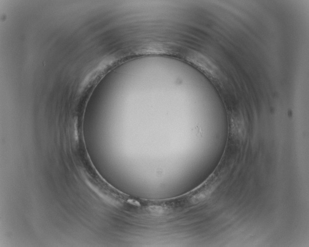 X0000069390302200605192220