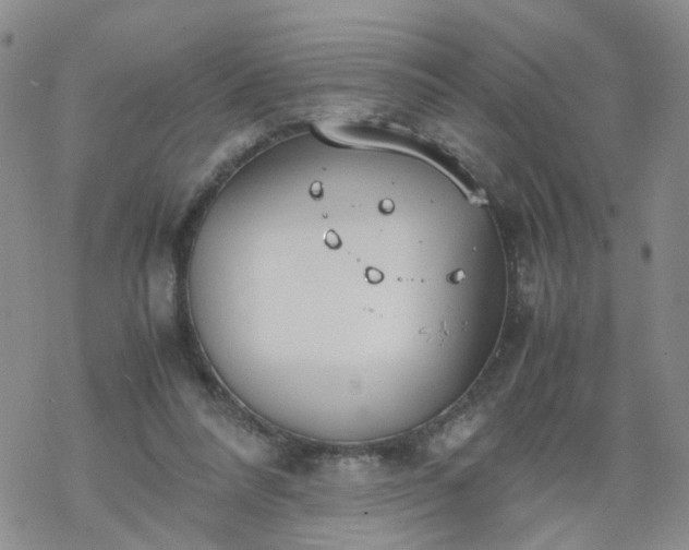 X0000069390304200605192220