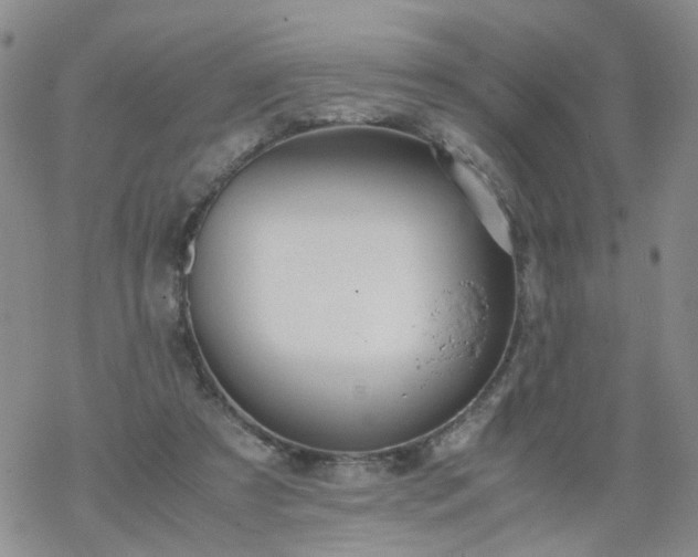 X0000069390305200605192220