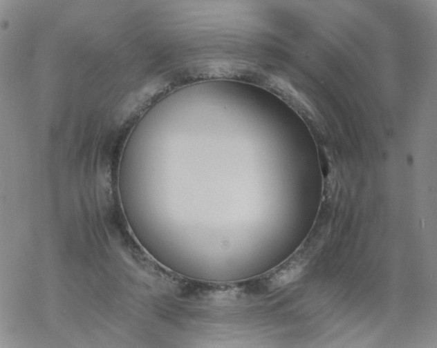 X0000069390306200605192220