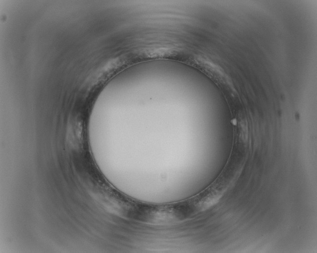 X0000069390308200605192220