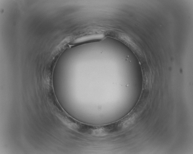 X0000069390309200605192220