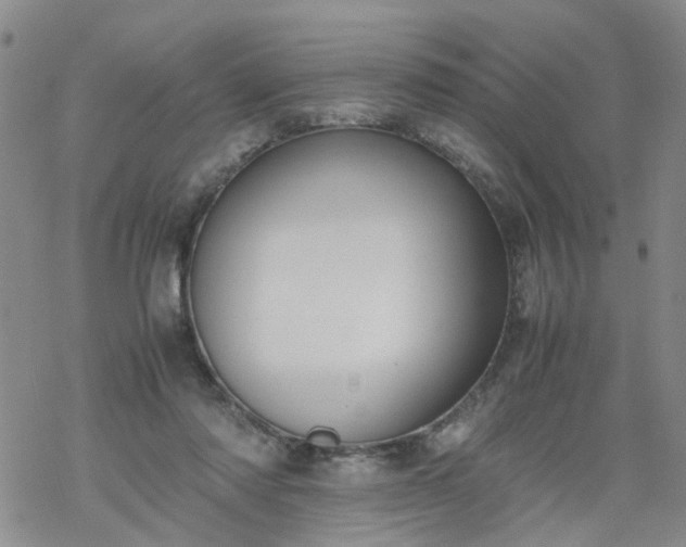 X0000069390310200605192220