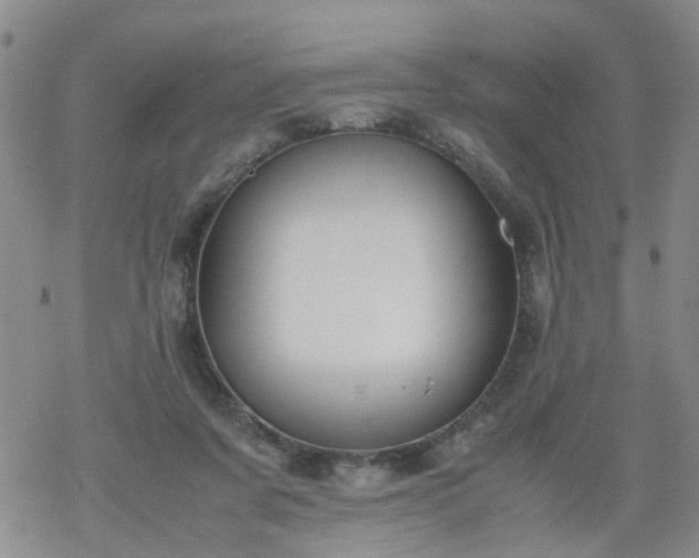 X0000069390311200605192220