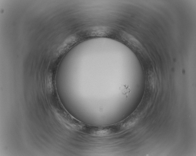 X0000069390312200605192220