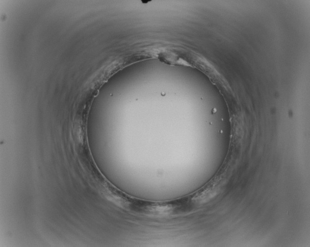 X0000069390313200605192220