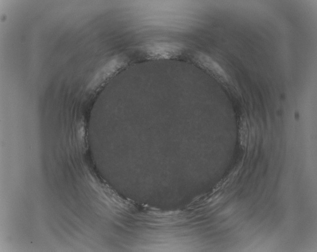 X0000069390314200605192220