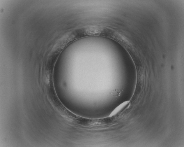 X0000069390315200605192220