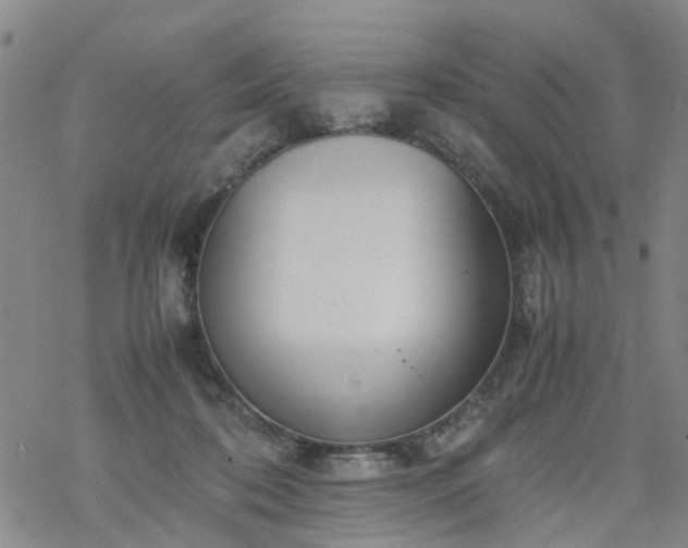 X0000069390316200605192220