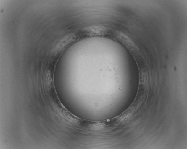 X0000069390318200605192220