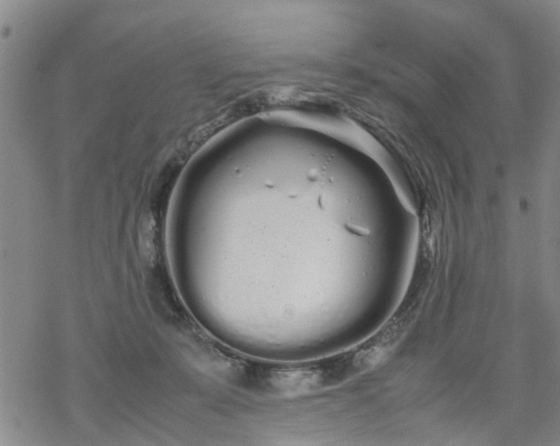 X0000069390319200605192220