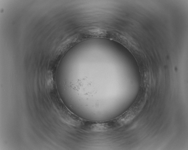 X0000069390320200605192220