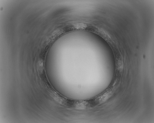 X0000069390321200605192220