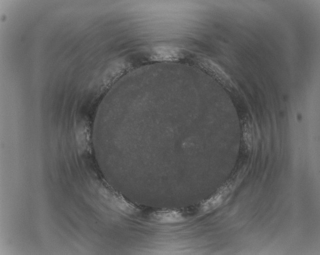 X0000069390322200605192220