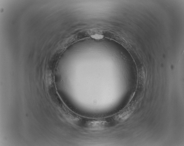 X0000069390323200605192220