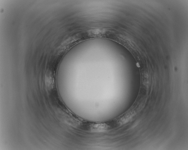 X0000069390324200605192220