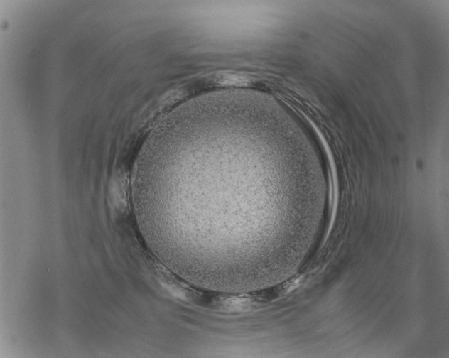 X0000069390325200605192220