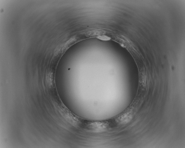 X0000069390326200605192220