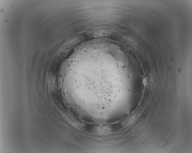 X0000069390327200605192220