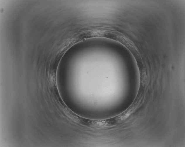 X0000069390329200605192220