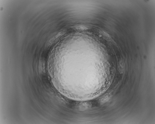 X0000069390330200605192220