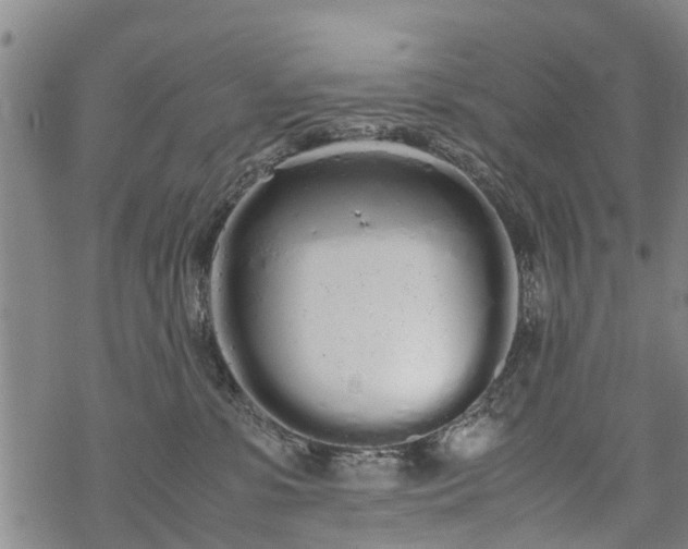 X0000069390331200605192220