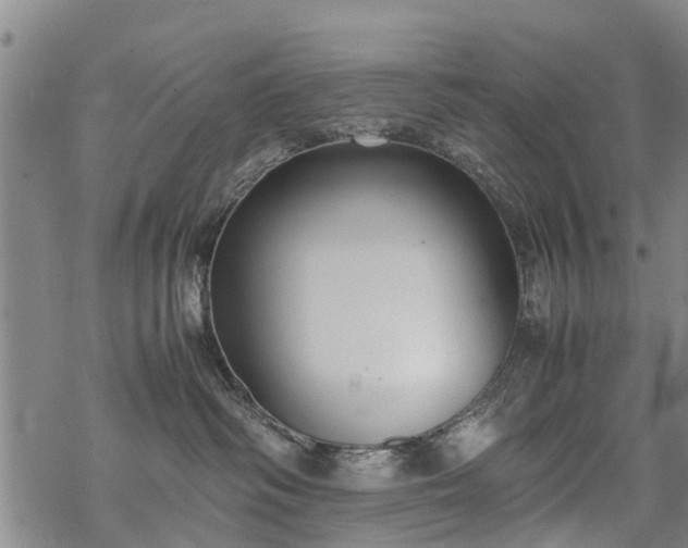 X0000069390334200605192220