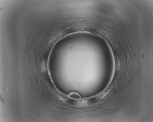 X0000069390335200605192220