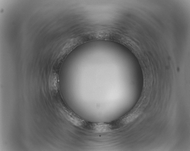 X0000069390336200605192220