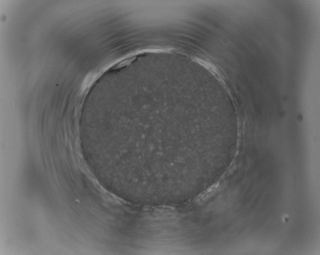 X0000069390337200605192219