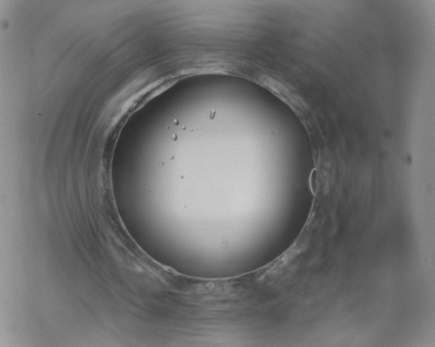 X0000069390338200605192219