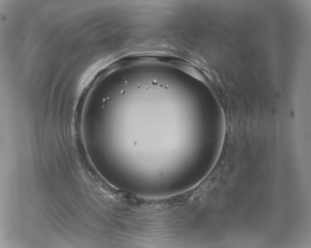 X0000069390340200605192219