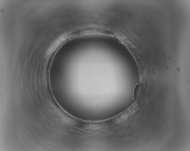 X0000069390341200605192219