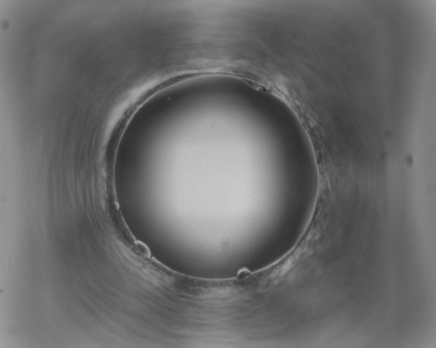 X0000069390342200605192219