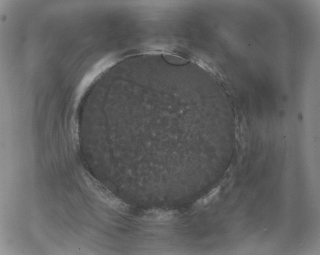 X0000069390343200605192219