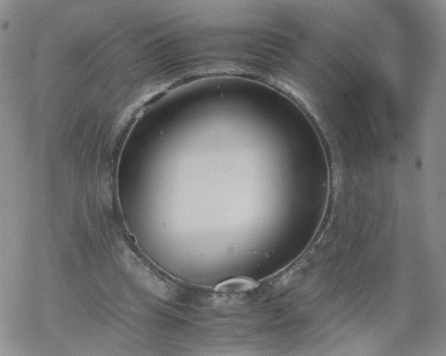 X0000069390345200605192219