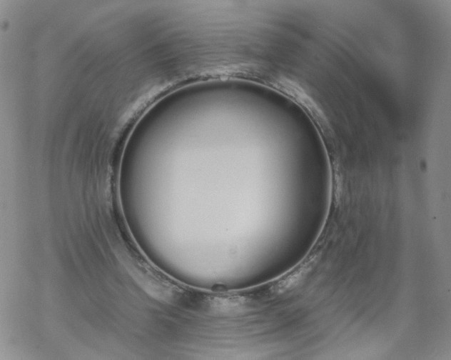 X0000069390346200605192219