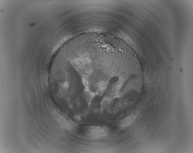 X0000069390347200605192219