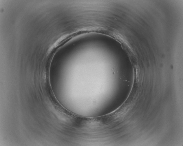 X0000069390348200605192219