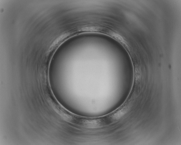 X0000069390349200605192219