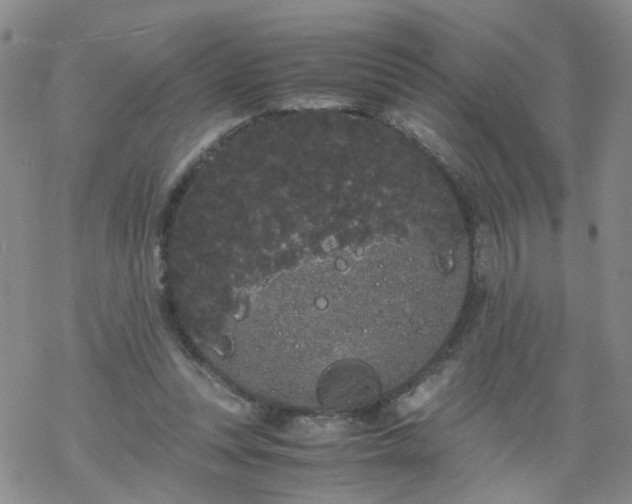 X0000069390351200605192219