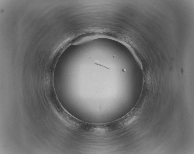 X0000069390352200605192219