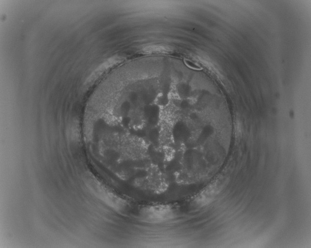 X0000069390353200605192219